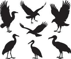 Silhouettes of various birds of prey and wading birds vector