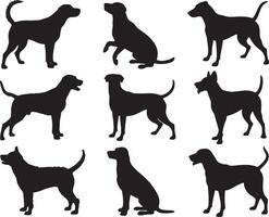 Nine dog silhouettes various breeds canine collection vector