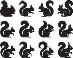 Twelve silhouettes of adorable squirrels in various poses vector