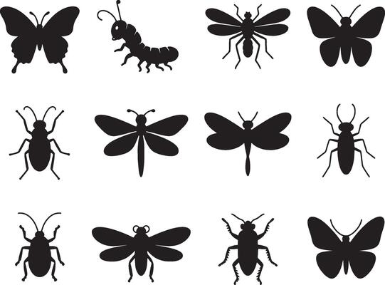 Black silhouettes of various insects and butterflies