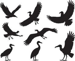 Black silhouettes of various birds in flight and resting vector