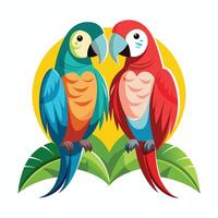 two colorful parrots are sitting on a branch vector