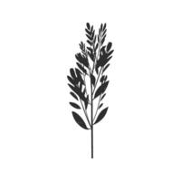 Silhouette Of Botanical Plant With Leaves Illustration. Nature And Simplicity In Design Isolated Illustration vector