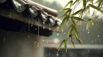 Chinese style leaves and bamboo leaf scenery in the rain photo