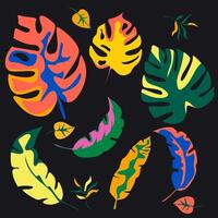 Abstract palm leaf icons. Colored palm leaves on black background. Hand drawn foliage background image vector