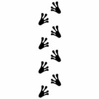 Footprints of a frog walking on a white screen background. Frog footprints in black vector