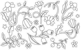 Coloring book. Set of flowers in retro style. Illustration in doodle style vector