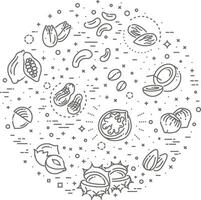 Outline set of various nuts isolated on a white background. Outline Illustration vector