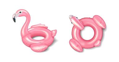 Pair of pink flamingo inflatable pool toys in a playful mood suitable for swimming and beach fun against plain white background. Ideal for water activities and summer parties. vector