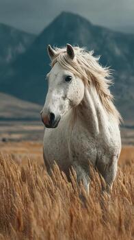 blanco caballo soportes majestuosamente en alto dorado césped con montañas en el antecedentes durante un nublado tarde foto