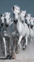 Herd of white horses running swiftly across a beach during daylight photo