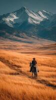 Horseback rider journeys through golden grasslands against majestic snow-capped mountains in late afternoon light photo