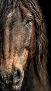 Close-up view of a beautiful brown horse with a flowing mane looking directly at the camera during golden hour photo