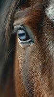 Close-up of a horse's eye revealing intricate details and natural beauty in a serene outdoor setting photo