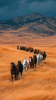 Horses trotting through golden grasslands with mountains in the background on a cloudy day photo