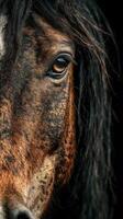 Majestic horse portrait showcasing detailed features and deep expression in natural light photo