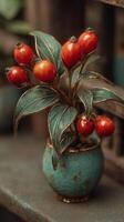 Red berries in a decorative ceramic pot arranged beautifully on a shelf in an artisan shop during the daytime photo