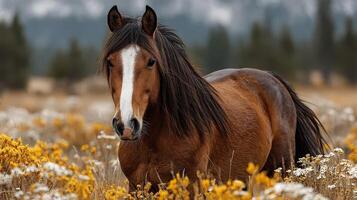 Majestic brown horse standing among vibrant wildflowers in a serene meadow during late afternoon photo