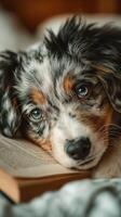 Dog resting its head on a book while looking adorably at the camera in a cozy indoor setting photo
