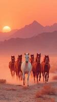 Herd of horses galloping through desert landscape at sunset with mountains in the background photo