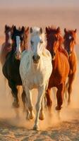 Majestic horses galloping through the desert at sunset with dust swirling around them photo