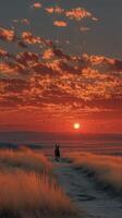 Sunset over ocean with silhouette of a horse walking along a sandy path by the water's edge photo