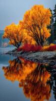 Vibrant autumn trees reflecting on calm water during a foggy morning in a serene natural landscape photo