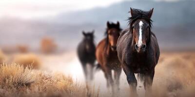 Wild horses run through a dusty landscape during golden hour in a serene and breathtaking natural setting photo