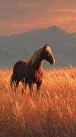 Majestic horse standing in golden grass field during sunset with mountains in the background photo