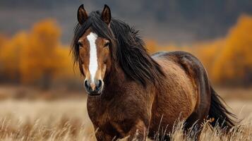 Majestic brown horse stands gracefully in a golden autumn landscape with vibrant trees photo