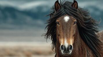 Majestic brown horse standing in a vast landscape with flowing mane under cloudy sky photo