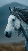 Majestic gray horse standing in a serene landscape with gentle winds in early morning light photo
