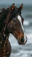Majestic horse with flowing mane stands near the ocean waves at sunset photo