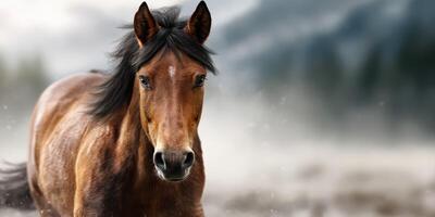Majestic brown horse galloping through misty landscape on a cool morning with mountains in the background photo