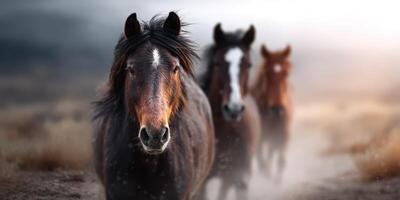 Majestic horses walking through misty landscape at dawn near rolling hills with a serene atmosphere photo