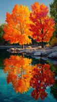Vibrant autumn trees reflect against the calm water in a serene park setting during golden hour photo