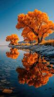 Autumn trees reflect in calm water under blue sky at lakeside location during golden hour photo