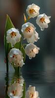 Elegant white flowers reflected in still water during the early morning hours in a tranquil setting photo