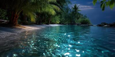 Serene night at a tropical beach with calm waters and lush palm trees reflecting the moonlight photo