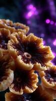 Close-up view of vibrant fungus growing in a mystical forest with purple background and intricate details photo