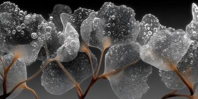 Delicate leaves adorned with water droplets create a stunning visual effect in a close-up setting photo