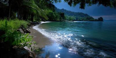 Tranquil beach setting under moonlight with calm water reflecting light photo
