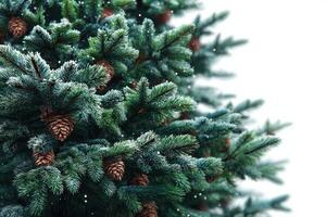 Pine tree branches adorned with cones and snowflakes in winter setting photo