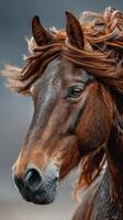 Majestic brown horse with flowing mane against a dramatic background at sunset photo