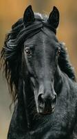 Majestic black horse with flowing mane stands proudly against a blurred autumn background in a tranquil natural setting photo