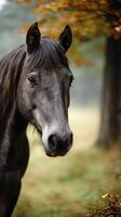 Close-up of a gray horse in a serene forest during autumn with colorful leaves and soft morning light photo
