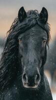 Majestic black horse with flowing mane poses amidst falling snow in a winter landscape photo