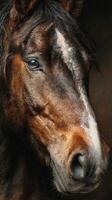 Majestic brown horse with striking blue eye stands against a dark background showcasing its beauty and elegance photo