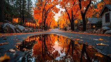Vibrant autumn colors reflect in puddles along a quiet road lined with rustic cabins at sunset photo