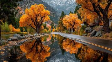 Vibrant autumn trees line a tranquil road reflecting colorful foliage in a serene mountain landscape during golden hour photo